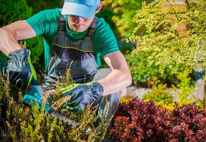 jardineria 715x495.jpg